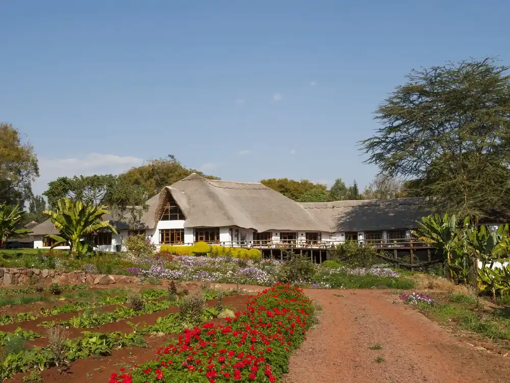 Ngorongoro Farm House - Karatu