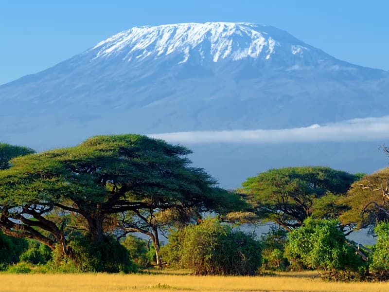 Mirerani's Tanzanite City Centre to Open Next Year - Tanzania safari insights from Porcupine Tours