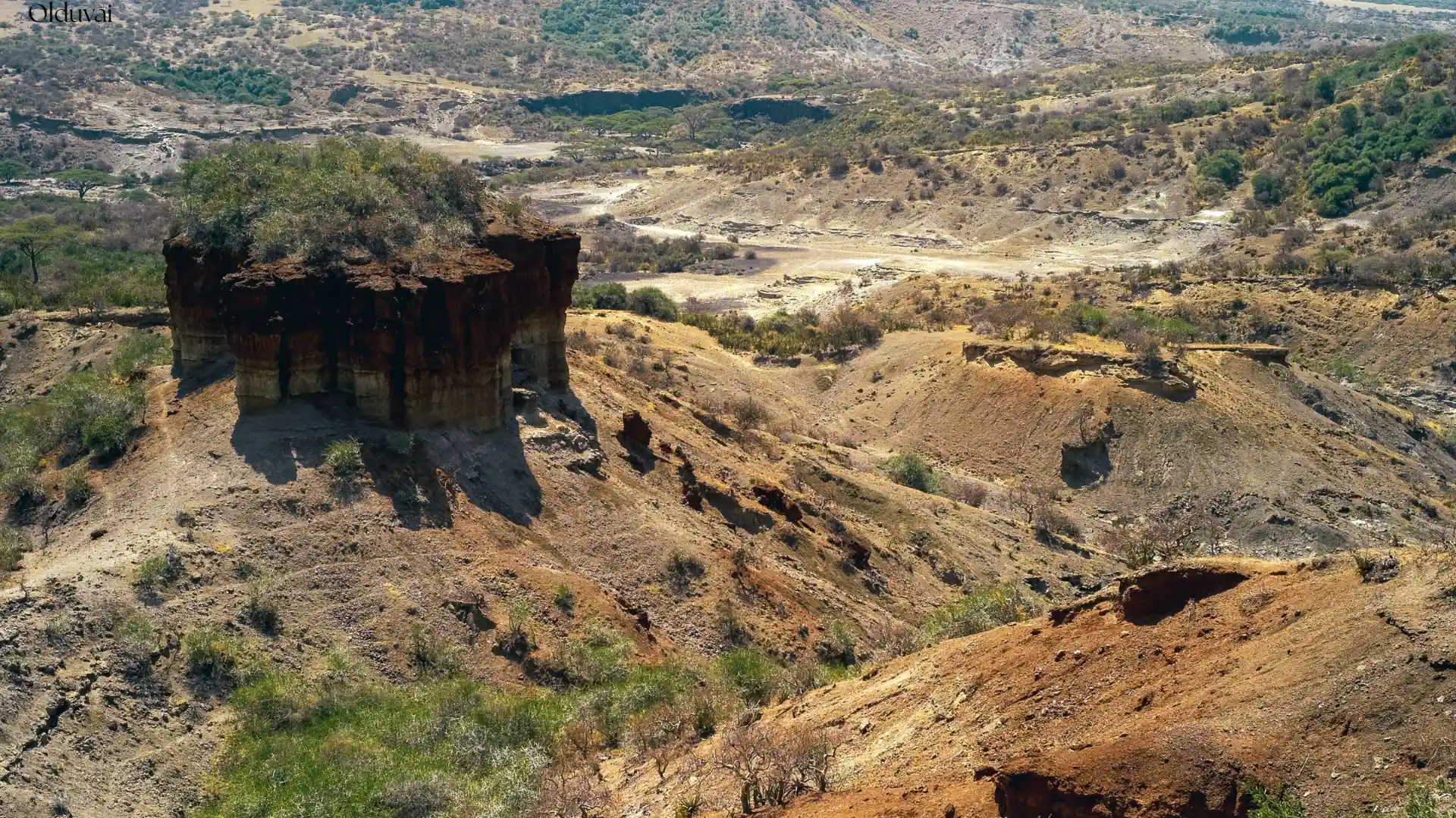 Layered rock formations at Olduvai Gorge revealing millions of years of geological and evolutionary history