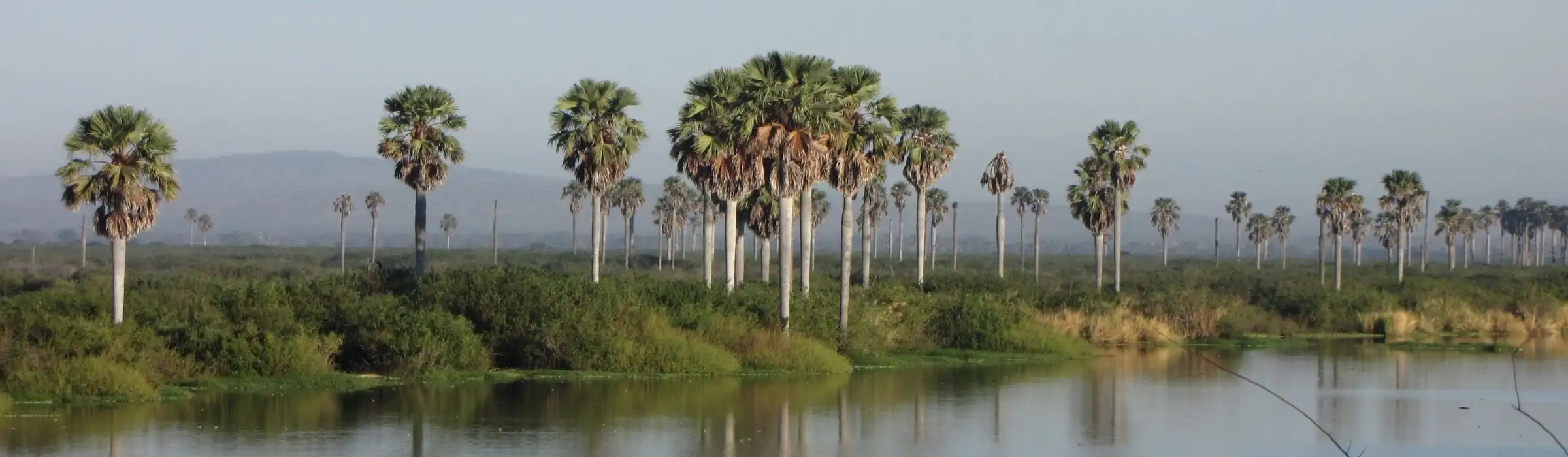 Nyerere National Park (Selous Game Reserve) safari in Southern Tanzania - Porcupine Tours