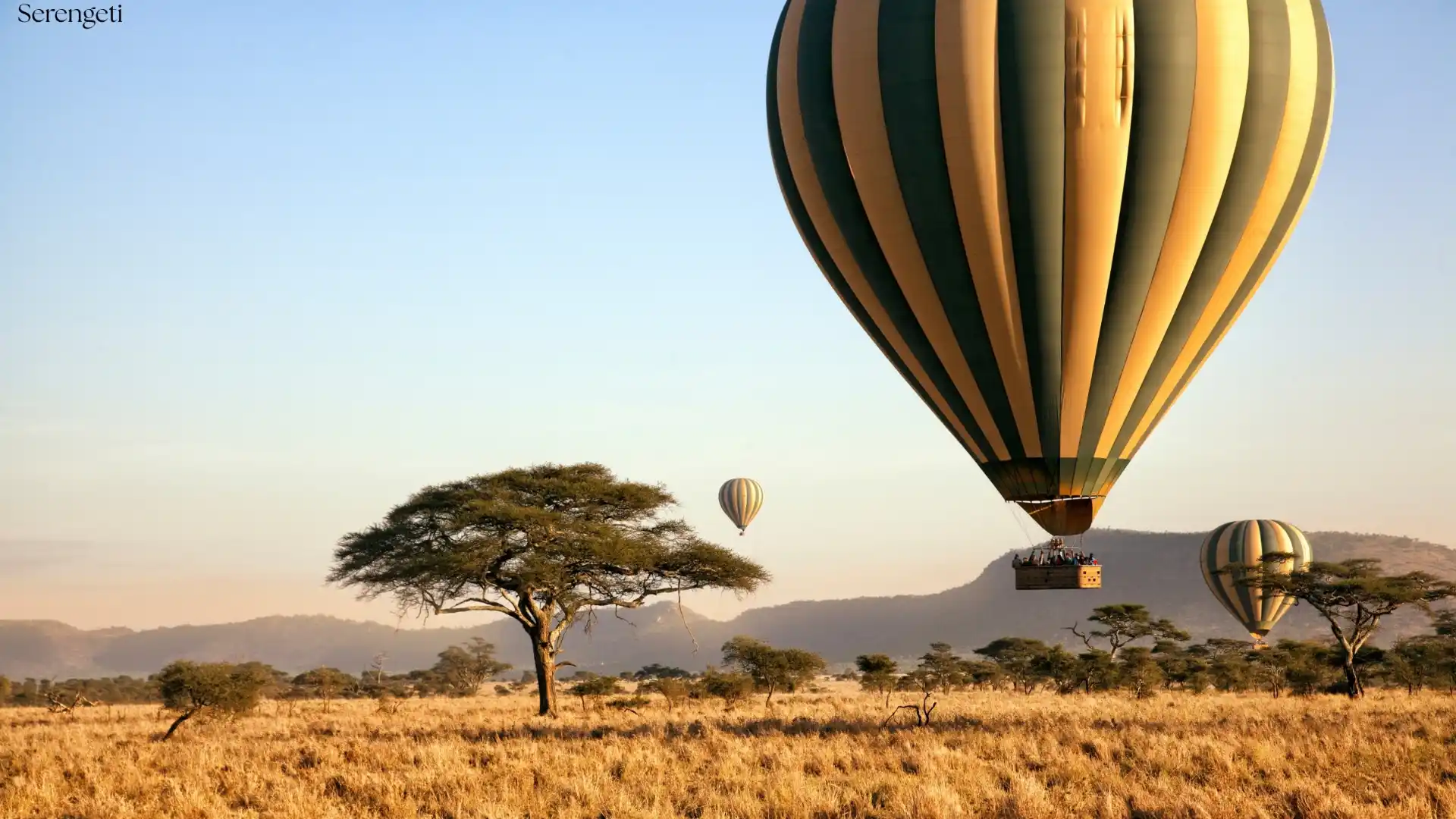Serengeti Balloon Safaris Wins World's Leading Balloon Ride Operator – Again - Tanzania safari insights from Porcupine Tours