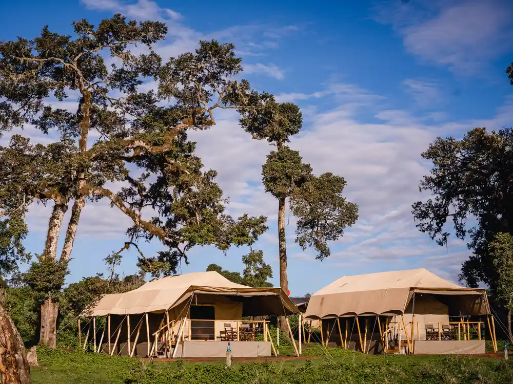 Ang'ata Ngorongoro Camp - Ngorongoro Crater Rim
