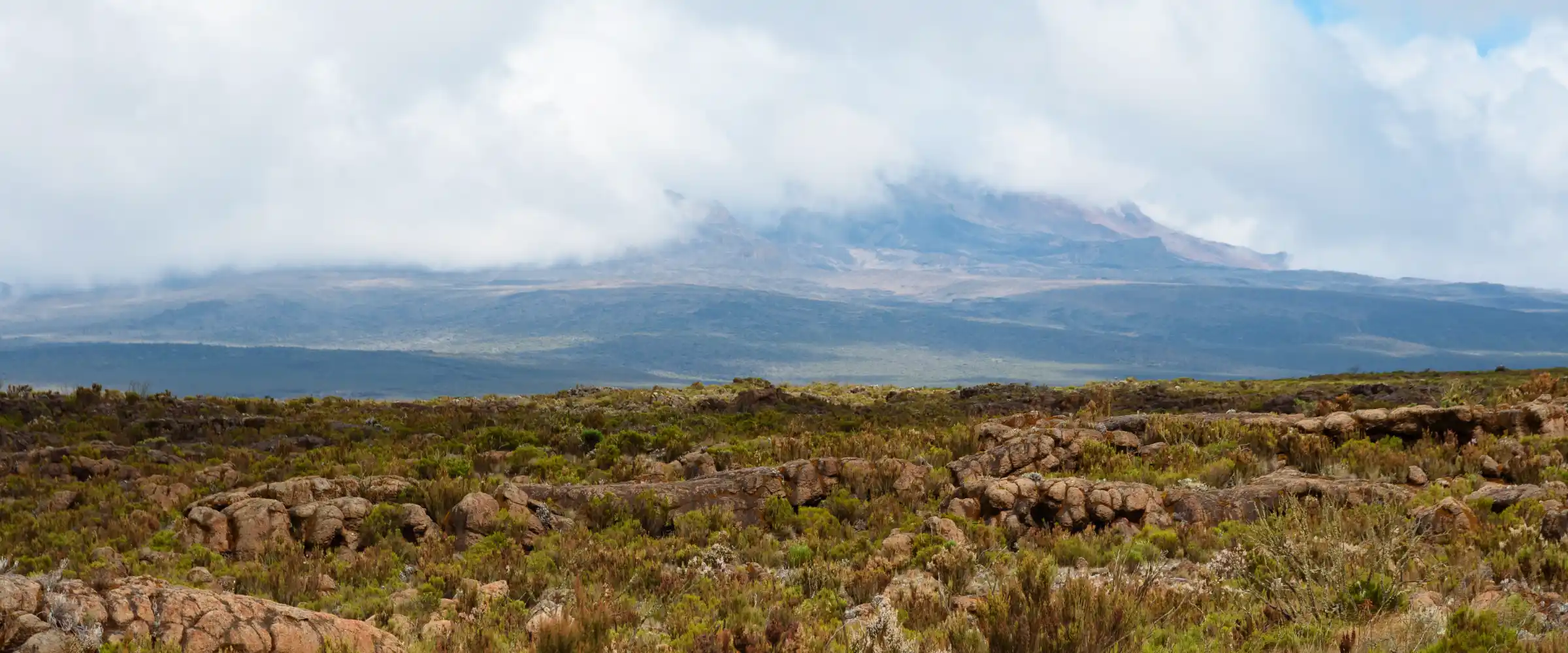 Kilimanjaro's Hidden Treasure: Trekking to Shira Camp Without Summiting - Tanzania safari insights from Porcupine Tours