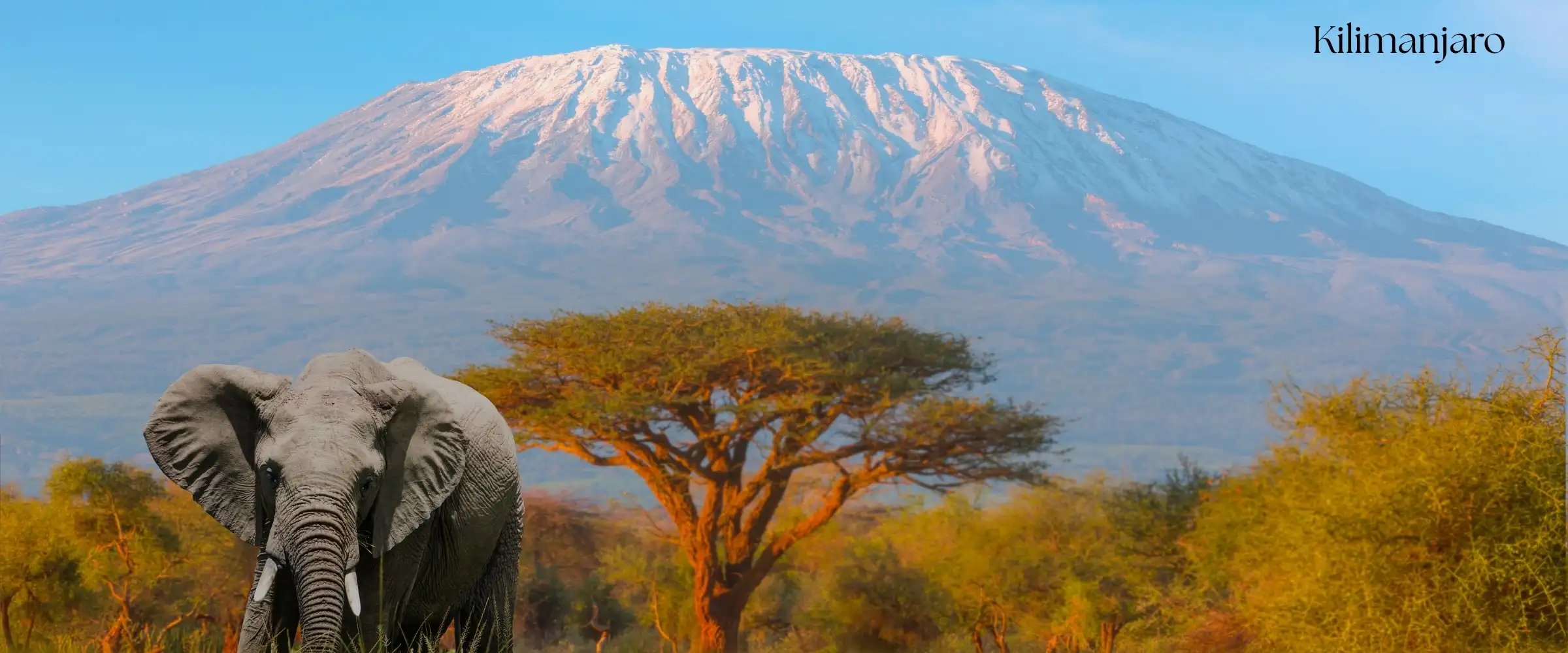 Mount Kilimanjaro summit - Africa's highest peak climbing adventure