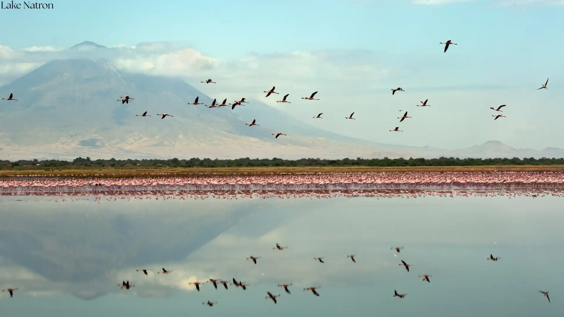 Lake Natron safari in Northern Tanzania - Porcupine Tours