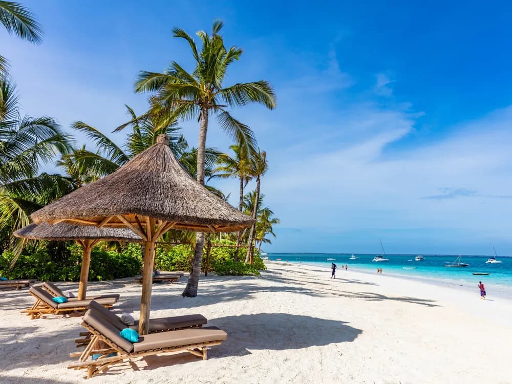 Mystery of Wildebeest migration & Zanzibar - Porcupine Tours