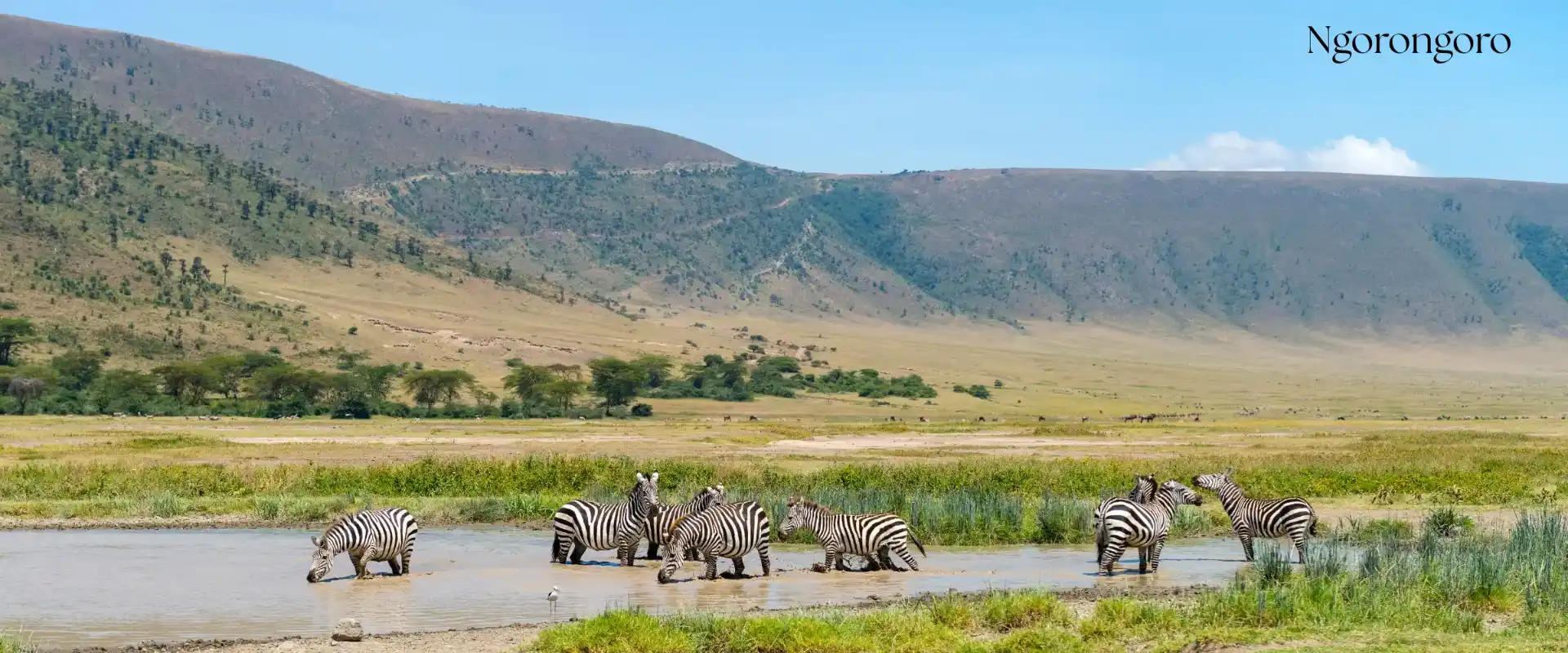 Ngorongoro Crater safari in Northern Tanzania - Porcupine Tours