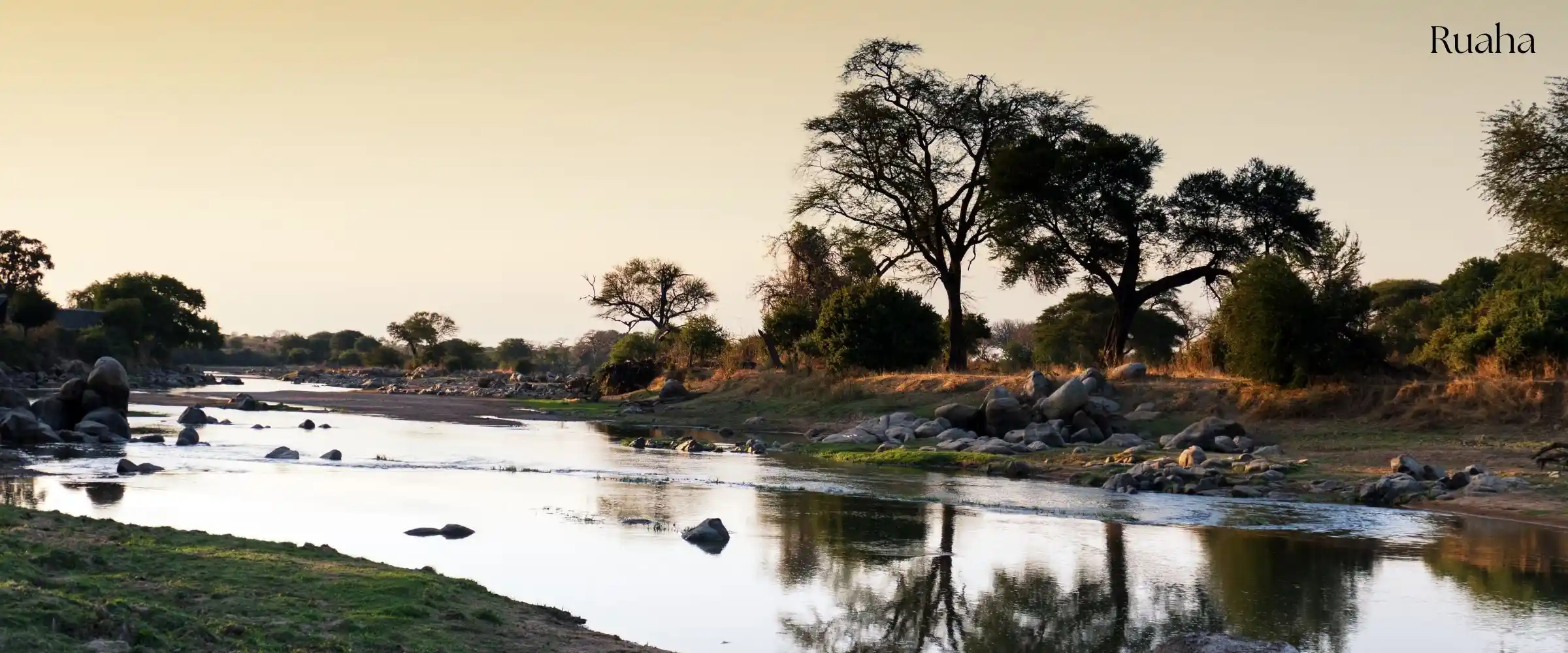 Ruaha National Park safari in Southern Tanzania - Porcupine Tours