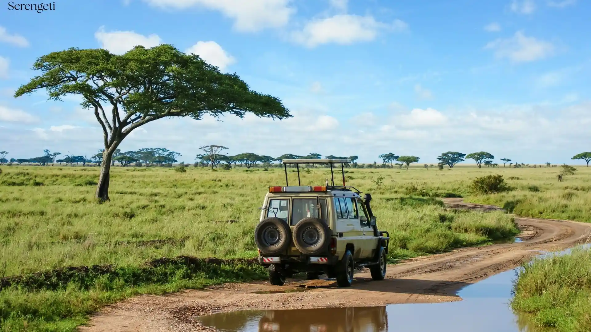 4-Day Tanzania Bush Safari - Porcupine Tours